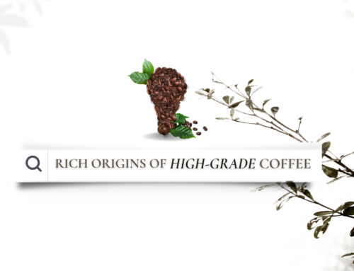 RICH ORIGINS OF HIGH-GRADE COFFEE