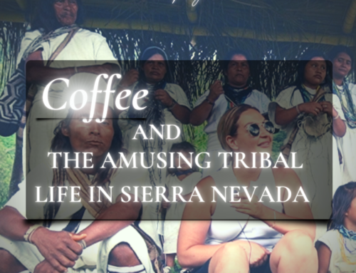 COFFEE AND THE AMUSING TRIBAL LIFE IN SIERRA NEVADA